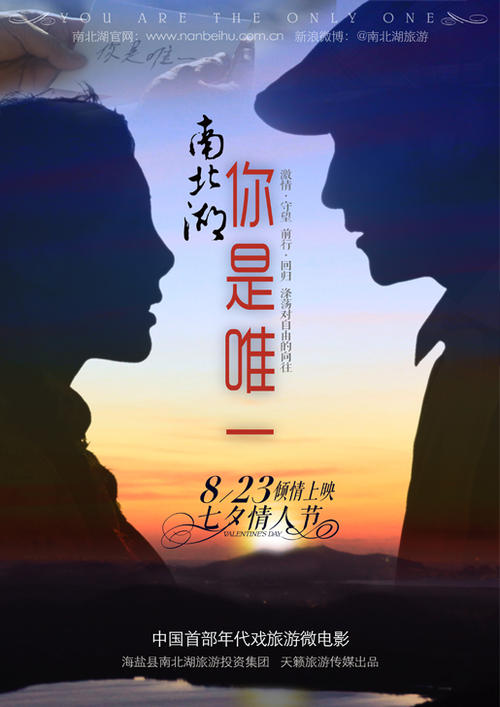 梅萨怎么办假证